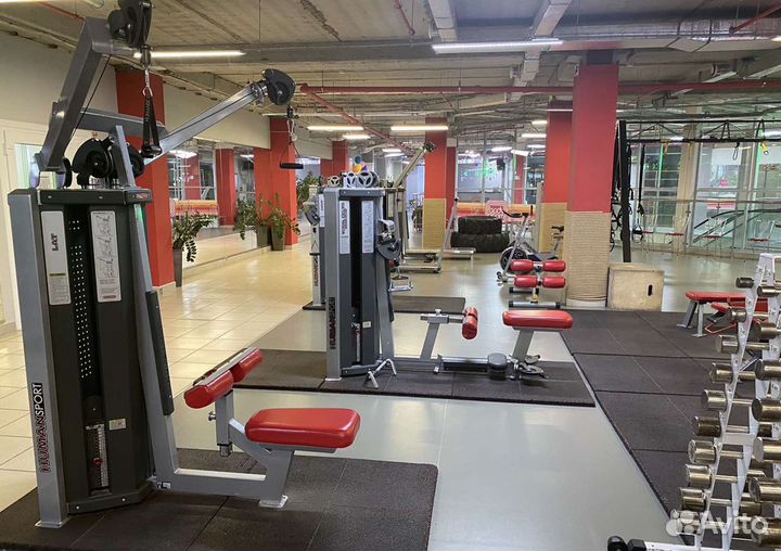 Линейка тренажеров Star Trac