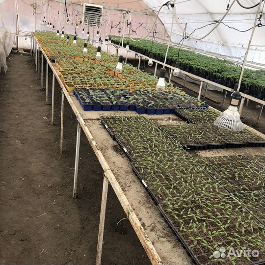 Готовый бизнес