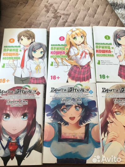 Манга Врата штейна