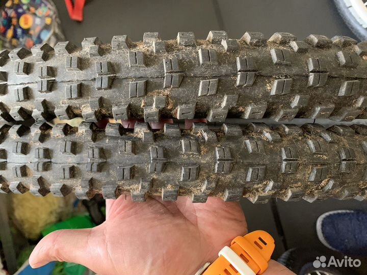 Покрышки kenda 29 regolit