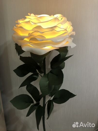 Ростовая роза