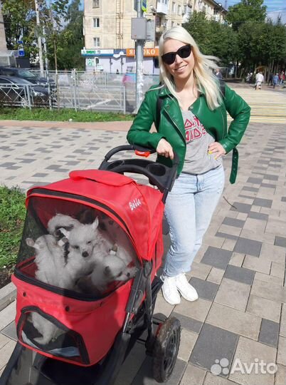 Коляска для собак