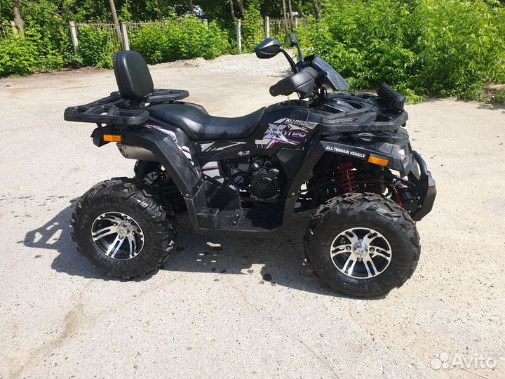 Avantis hunter big premium