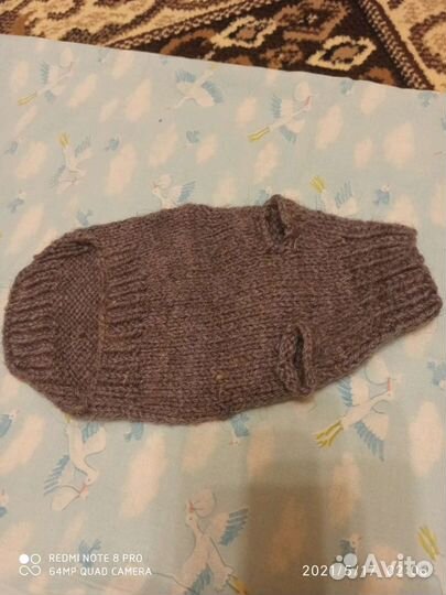 Кофта для котенка