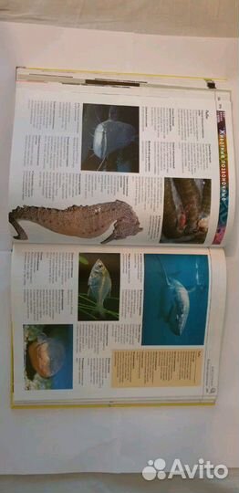 Энциклопедия Хочу всё знать