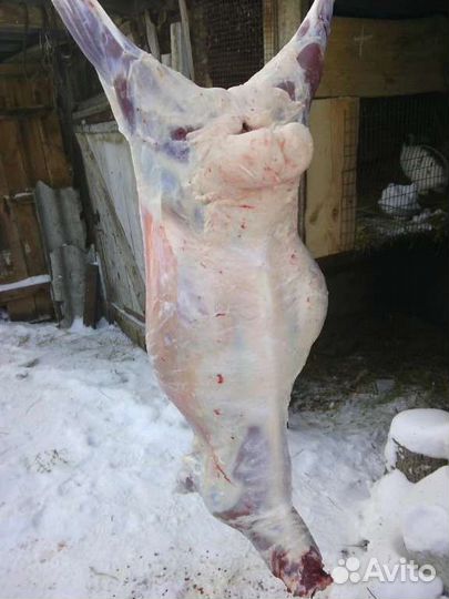 Баранина Халяль