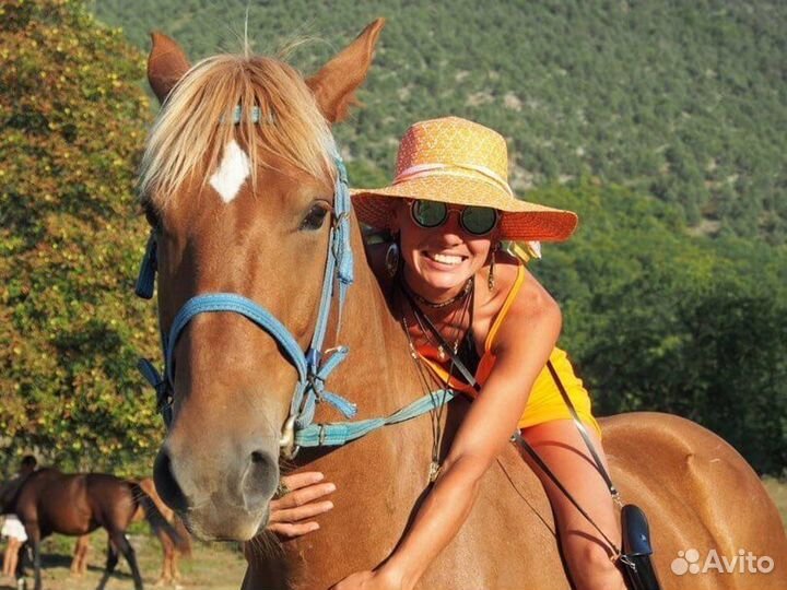 Конные прогулки в Адлере