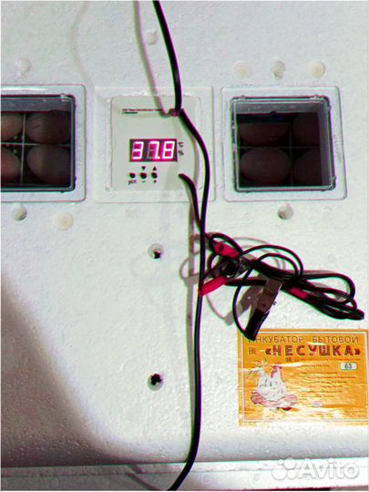 Инкубатор несушка