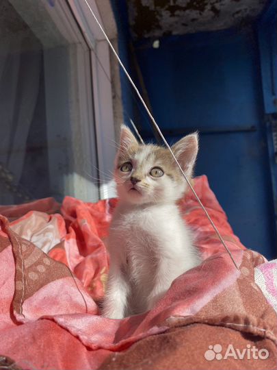 Девочка погибнет на улице