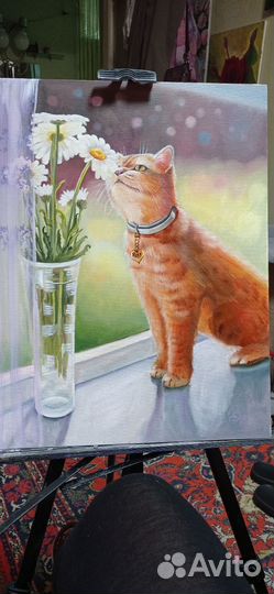 Кот и ромашки