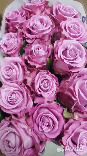 Свежесрезанные цветы