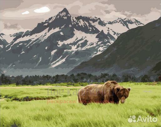 Картина по номерам 40x50 Уставший медведь на фоне