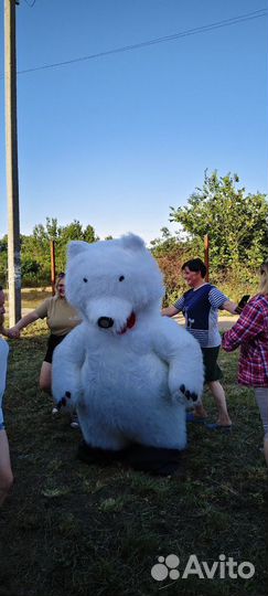 Поздравление аниматора Белый Мишка