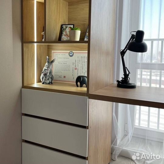 Шкаф рабочая зона на заказ