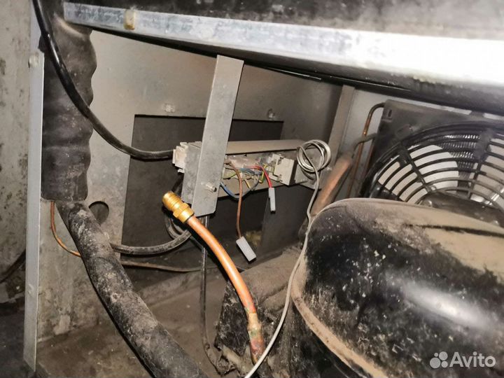 Ремонт стиральных и посудомоечных машин