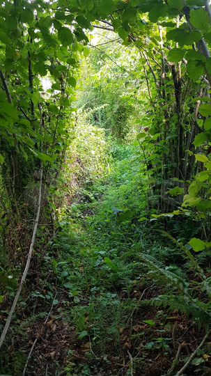 Дача 20 м² на участке 6 сот.