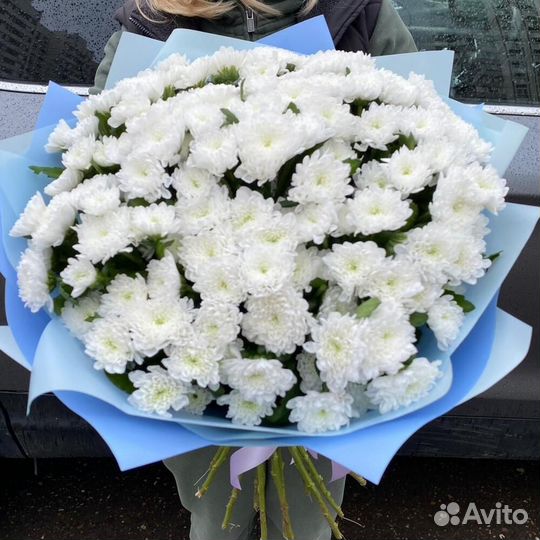 Букет 283 Хризантемы белые 11 шт