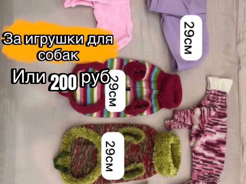 Одежда для собак