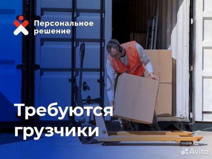 Грузчики оплата ежедневная