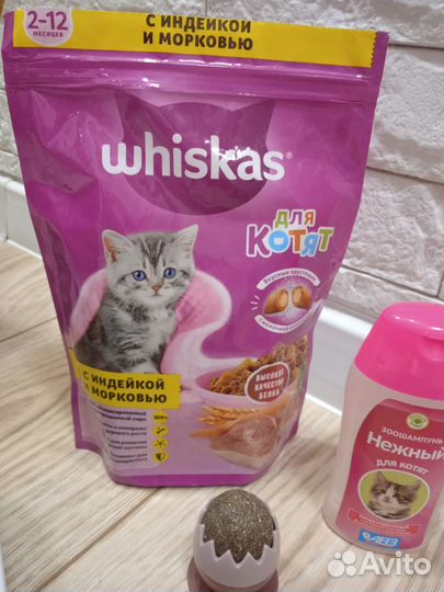 Когтеточка,лоток,шампунь,игрушка,корм,наполнитель