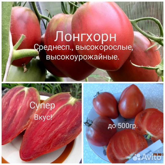 Семена томатов