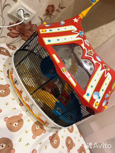 Сирийский хомяк, клетка circus