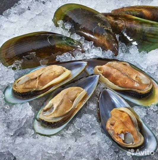 Мясо мидии 300-500шт/ кг