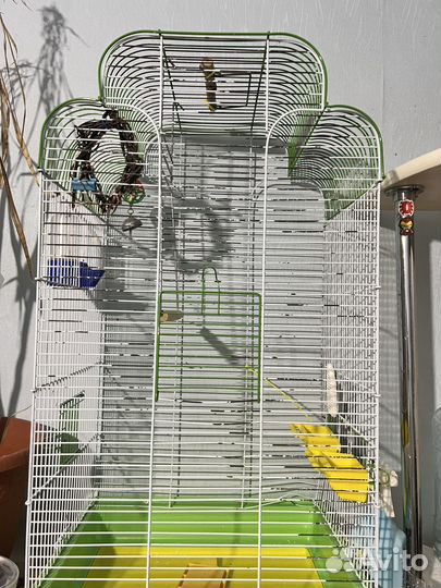 Клетка для попугая