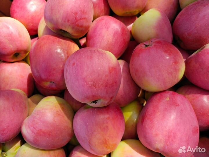 Продам яблоки опт, мелкий опт