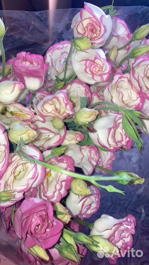 Розы в розницу