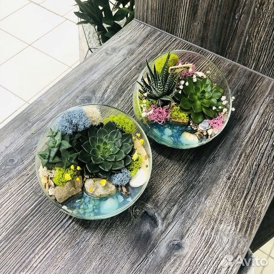 Флорариум корпоративные подарки