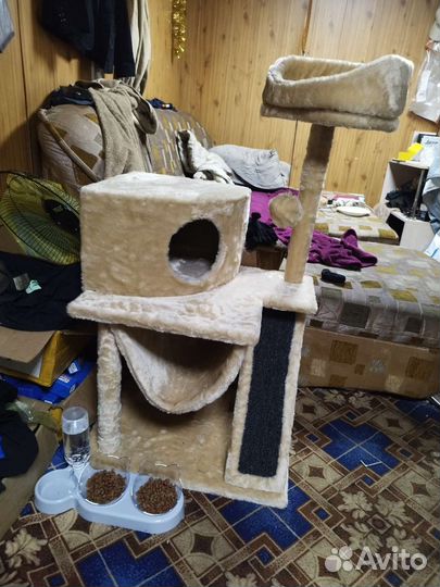 Домик для кошки новый