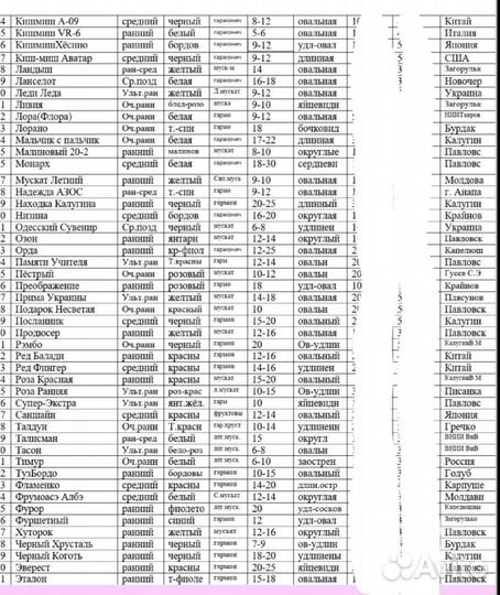 Черенки винограда столовых и технических сортов