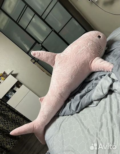 Розовая акула