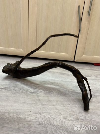 Коряги для аквариума