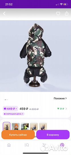 Одежда для собак мелких пород