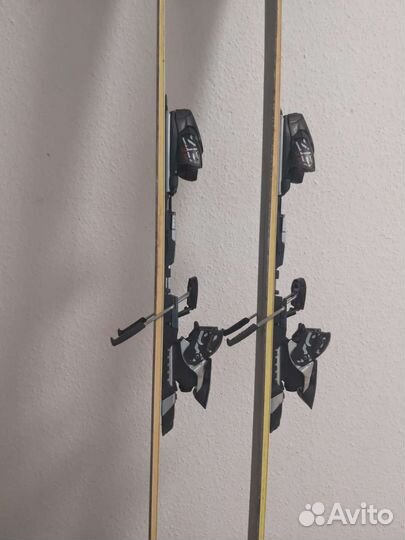 Горные лыжи