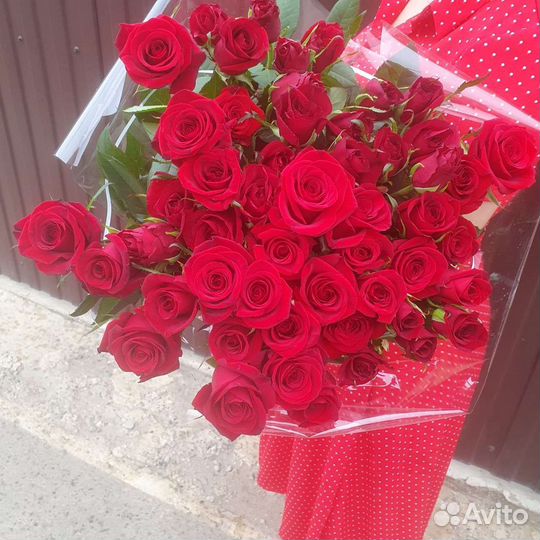 51 Роза
