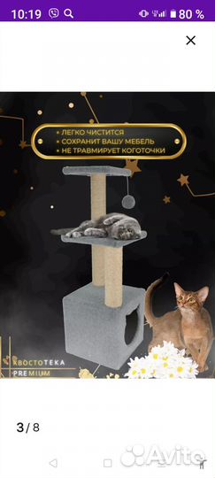 Когтеточка