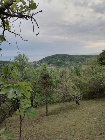 Дом 52 м² на участке 5,8 сот.