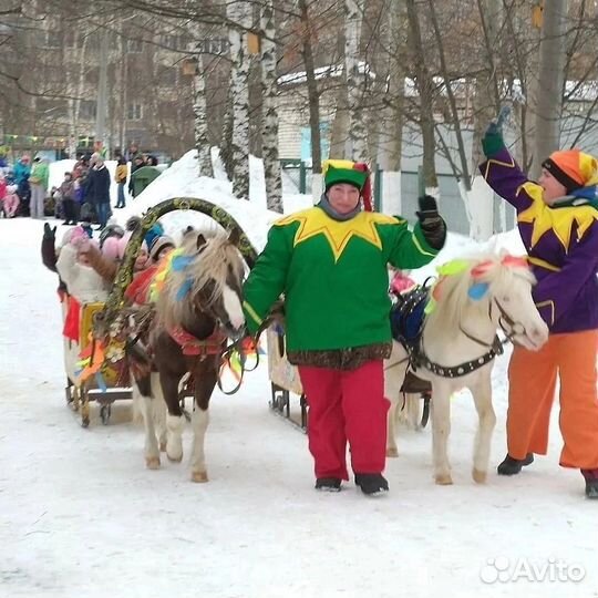 Лошади, пони, олени, верблюд на ваш праздник