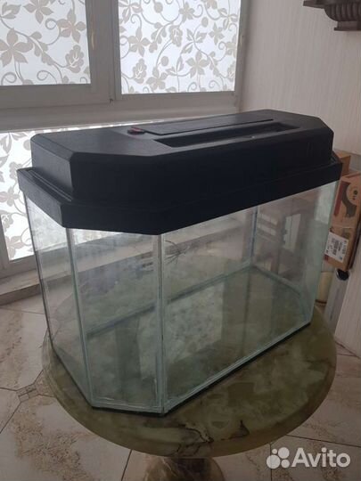 Аквариум