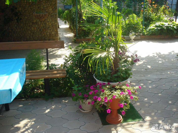 Недвижимость