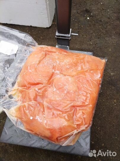 Продаем мясо семги