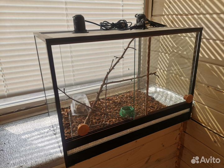 Террариум для рептилий бу
