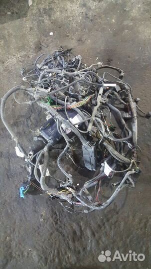 Проводка подкапотная Ford Focus CB4 2008- 2011