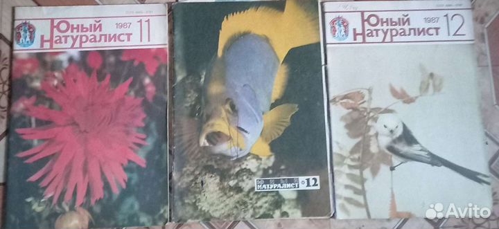 Журнал юный натуралист