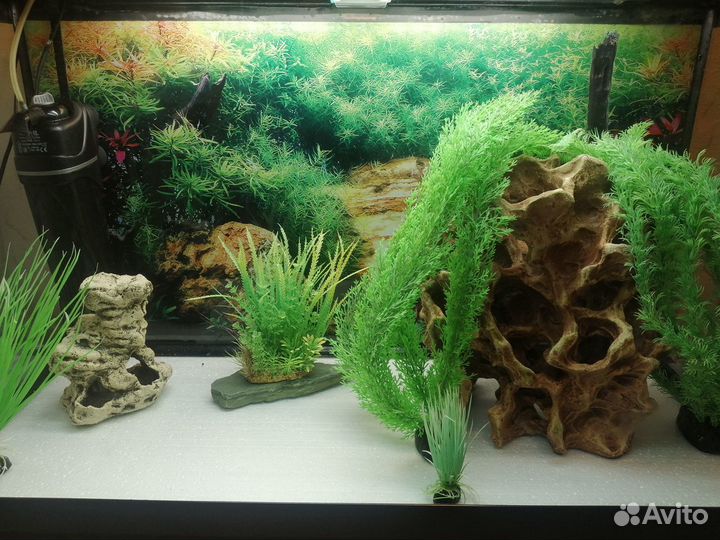 Аквариум