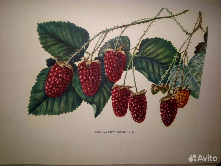 Всякие книги