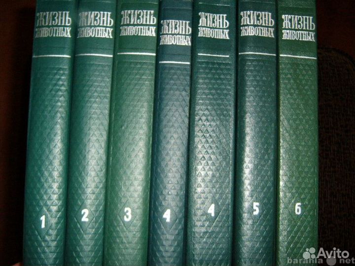 Энциклопедия 